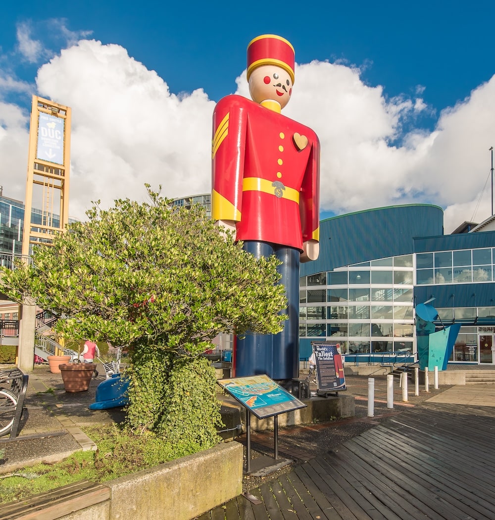 tinsoldier sunnyday copy